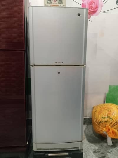 pell Fridge