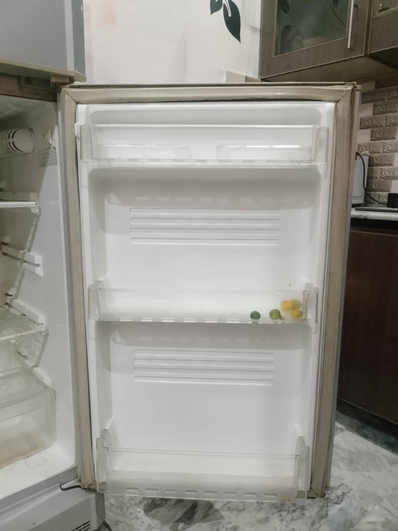 pell Fridge 1