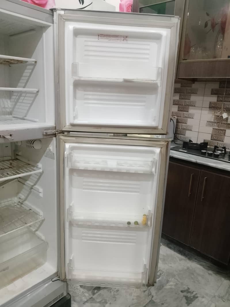 pell Fridge 2