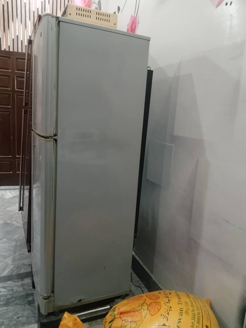 pell Fridge 5