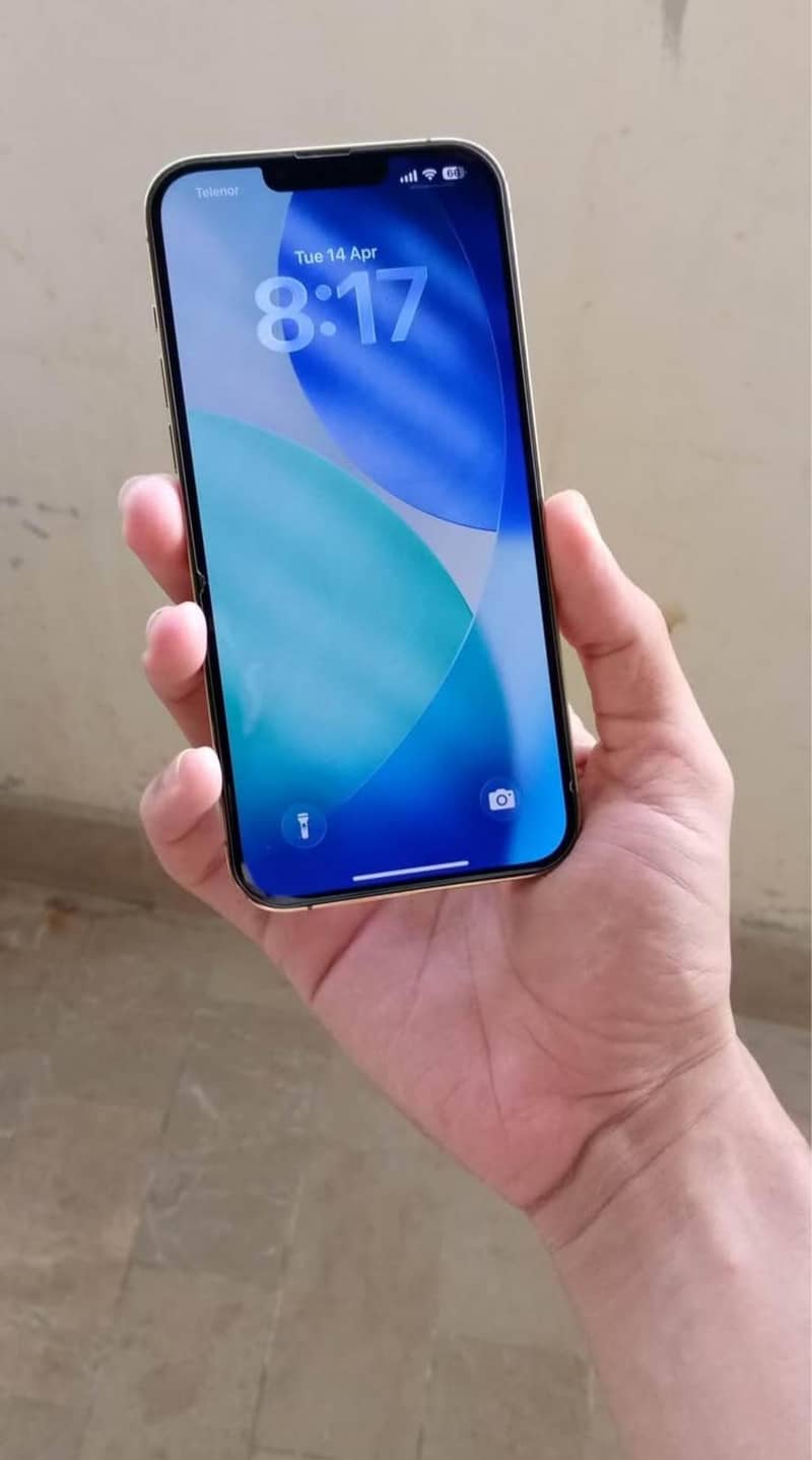 Apple iPhone 13 Pro Max 0