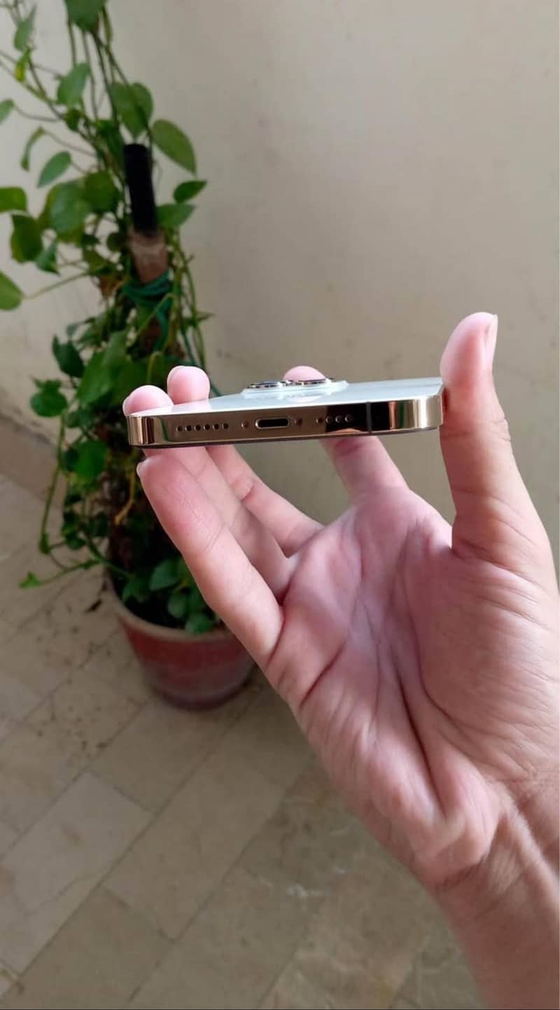 Apple iPhone 13 Pro Max 1