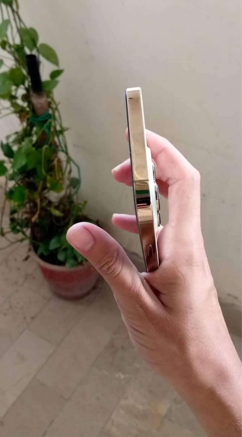 Apple iPhone 13 Pro Max 2