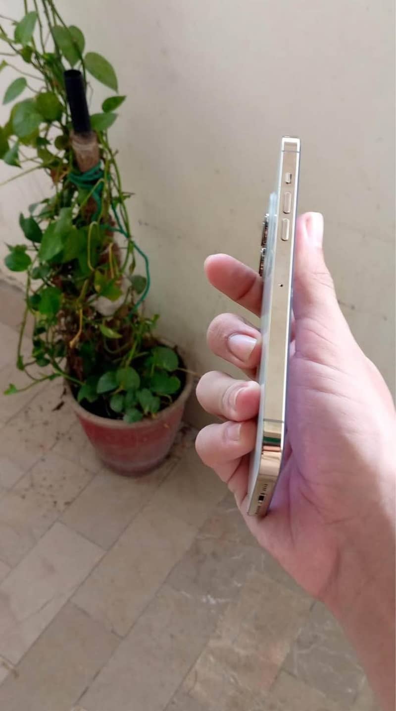 Apple iPhone 13 Pro Max 3