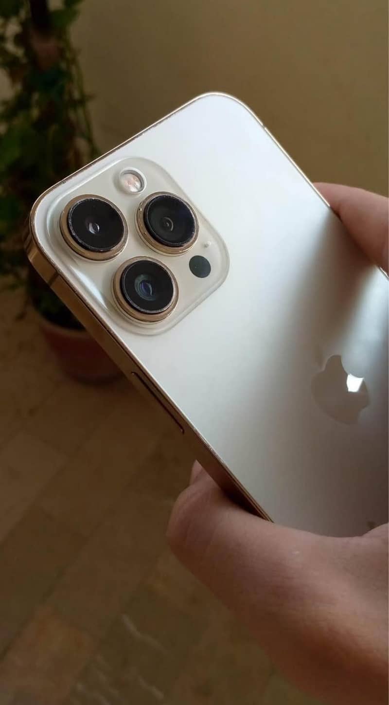 Apple iPhone 13 Pro Max 4