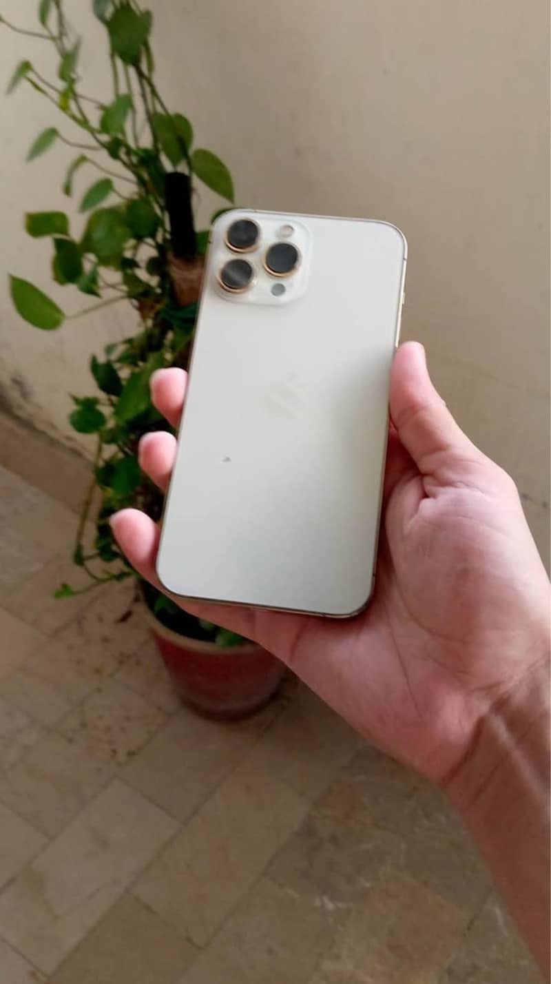 Apple iPhone 13 Pro Max 5
