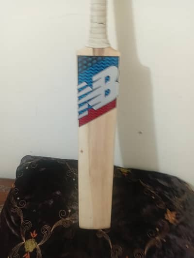 hard ball cricket bat