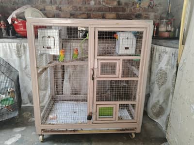 Lovebirds with cage
