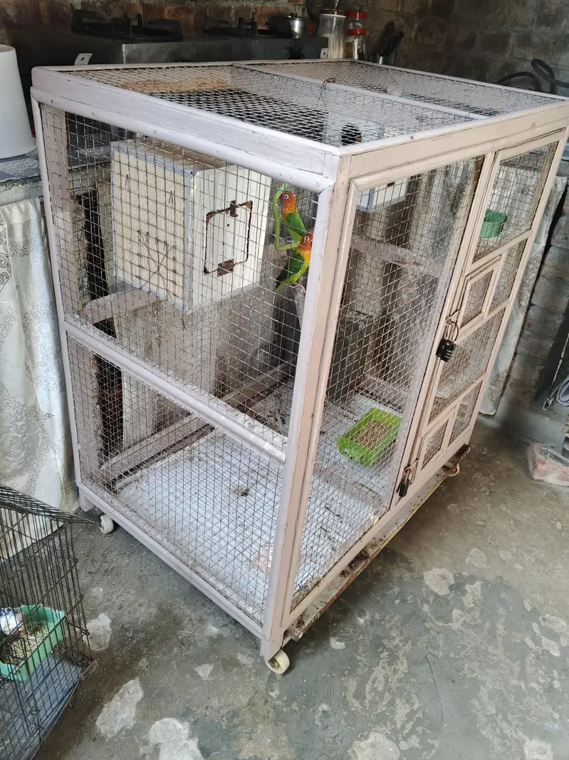 Lovebirds with cage — photo 2