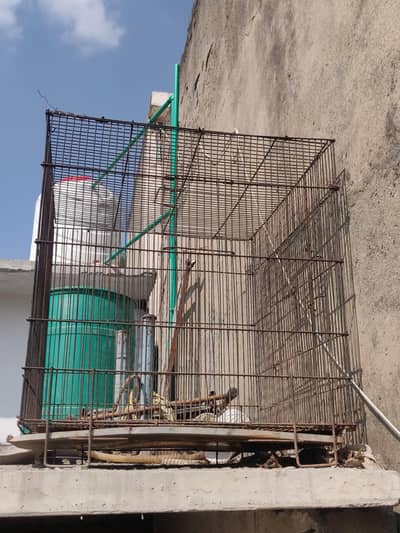 Cage For Birds Also For Hens