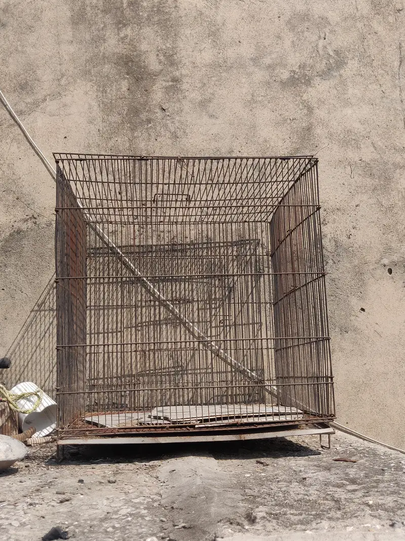 Cage For Birds Also For Hens — photo 2