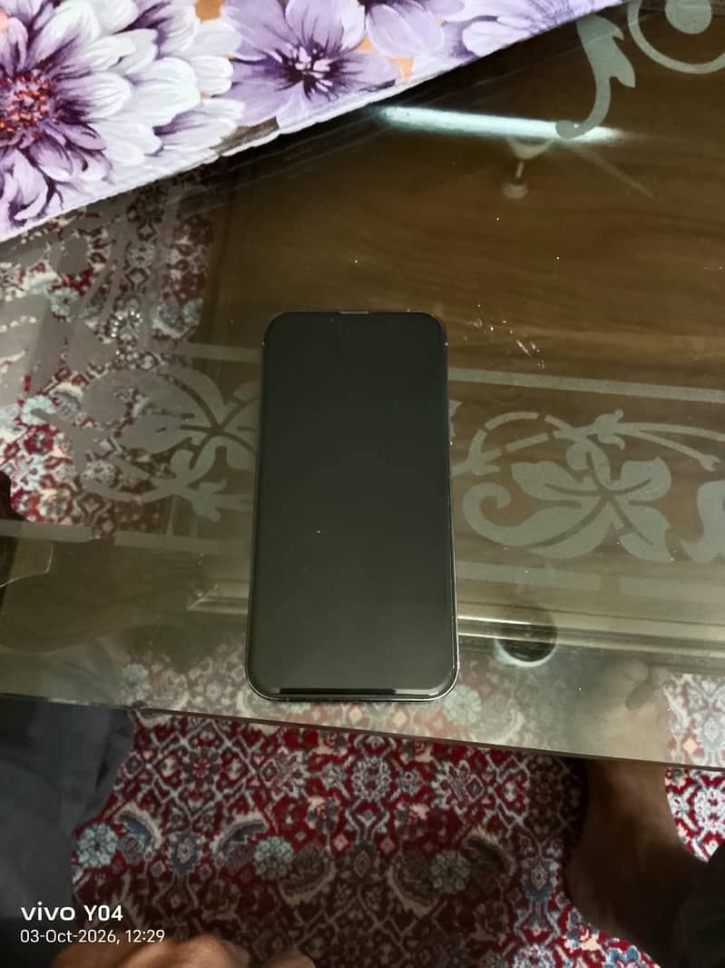 Apple iPhone 13 Pro max 0