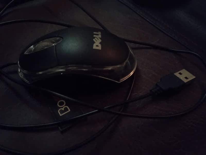 Mouse 1