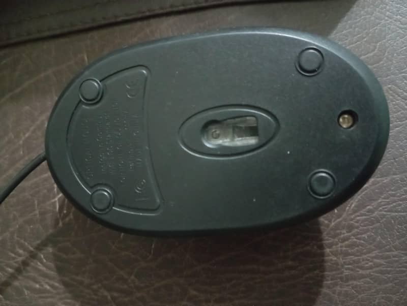 Mouse 2
