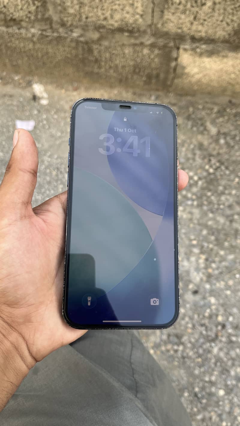 Apple iPhone 12 Pro Max 5