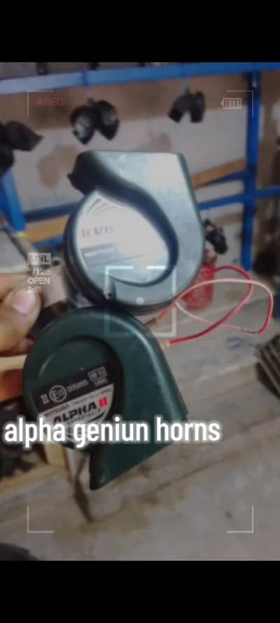 alpha geniun horns