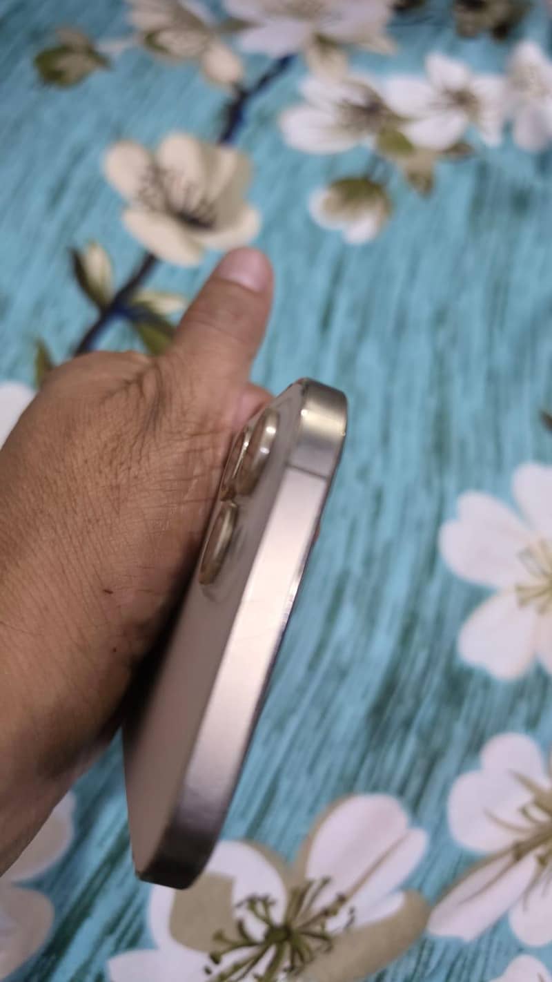 Apple iPhone 12 Pro Max 1