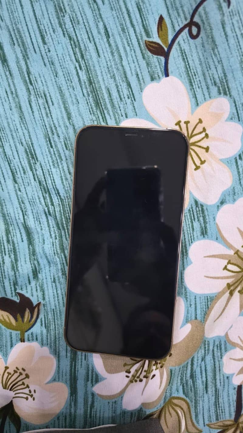 Apple iPhone 12 Pro Max 2