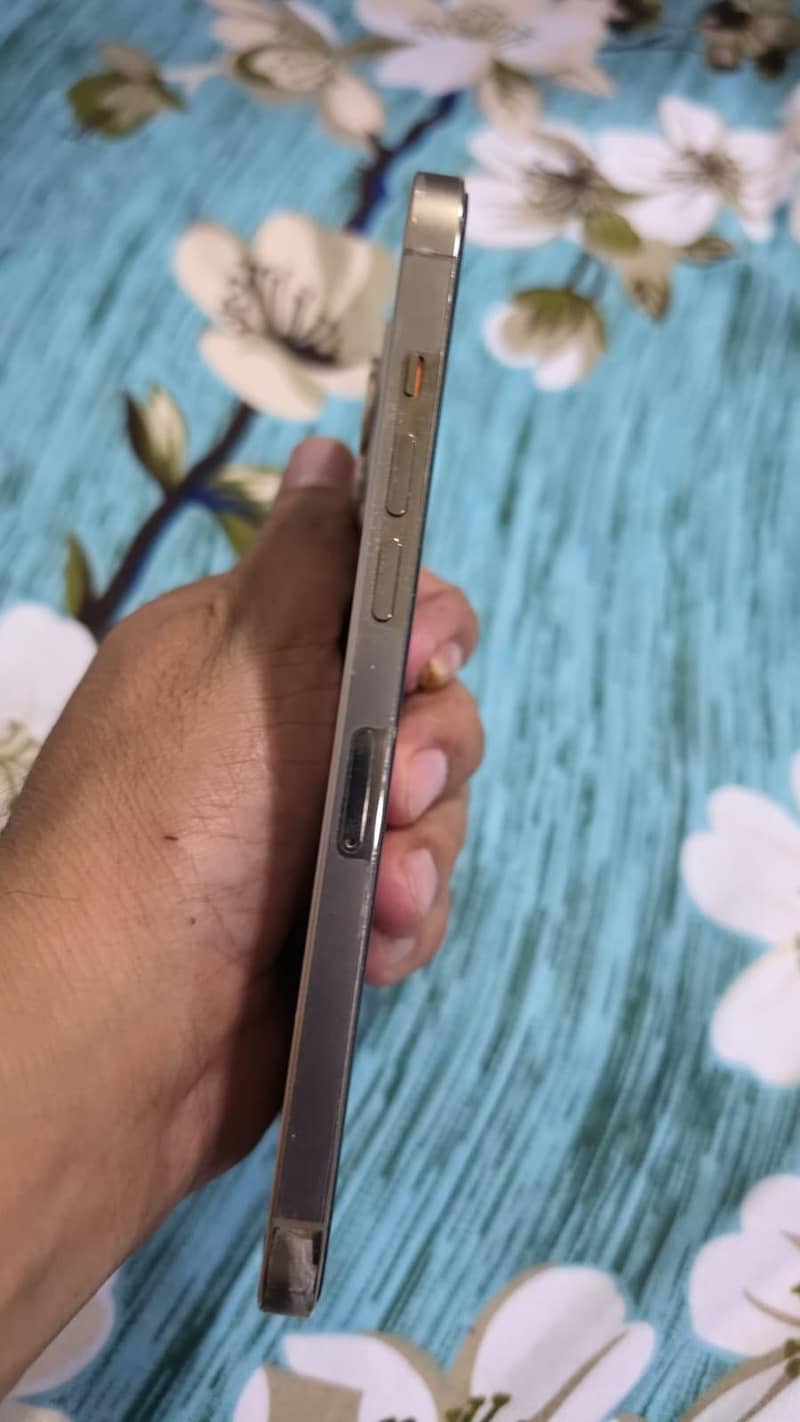 Apple iPhone 12 Pro Max 3