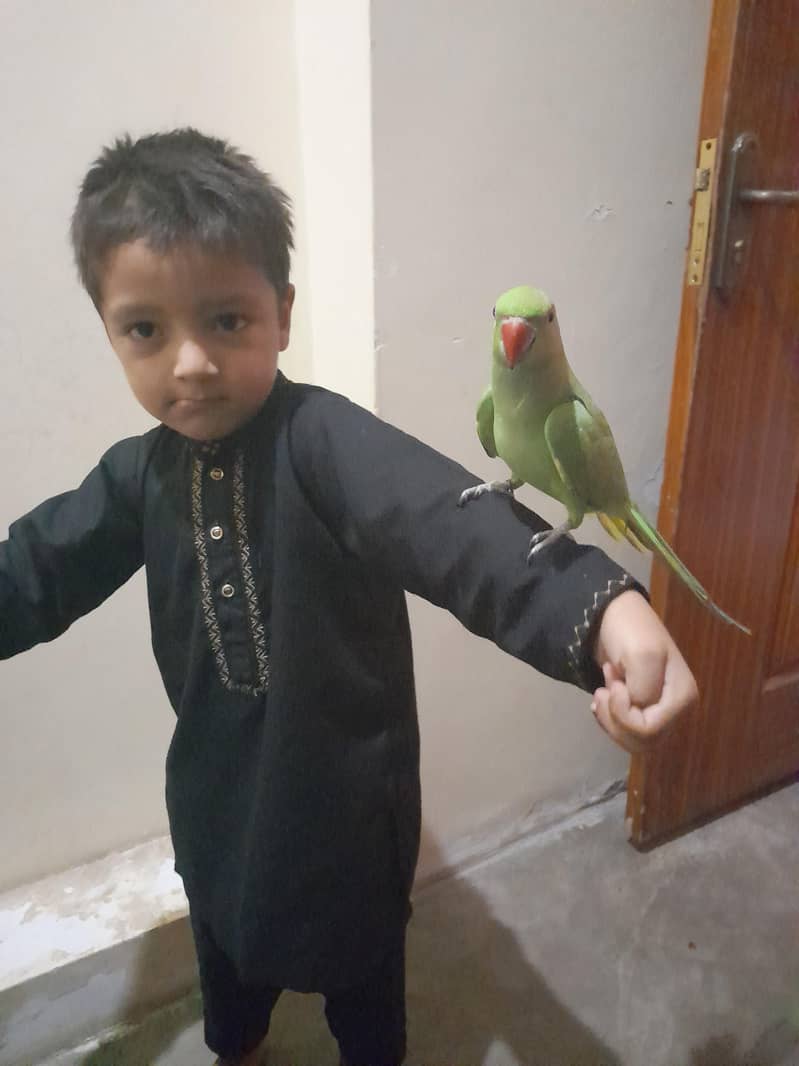 میاں میٹھو 0