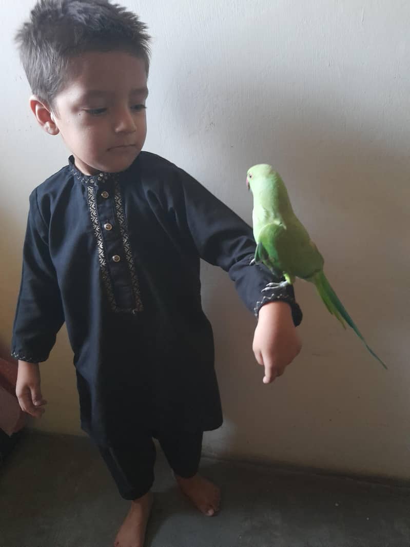 میاں میٹھو 1