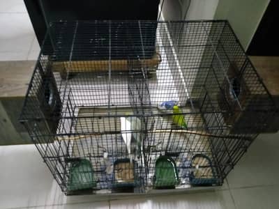 bagies with Cage