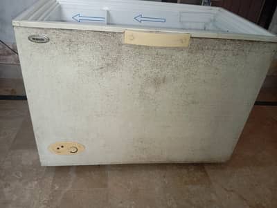 Deep Freezer Single Door Single Hand Used Excellent Condition