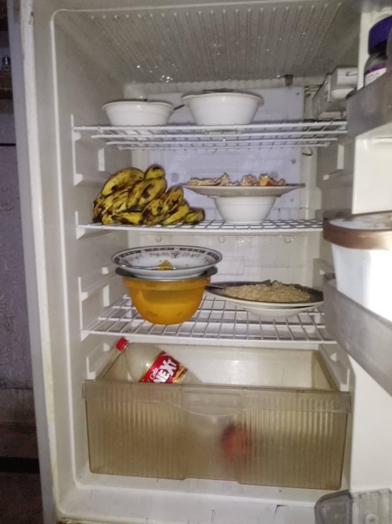 Singer fridge 3