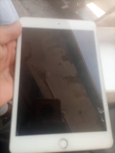 ipad mini 5