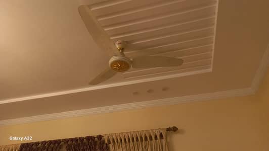 Royal Ceiling Fan (10/10 Condition)