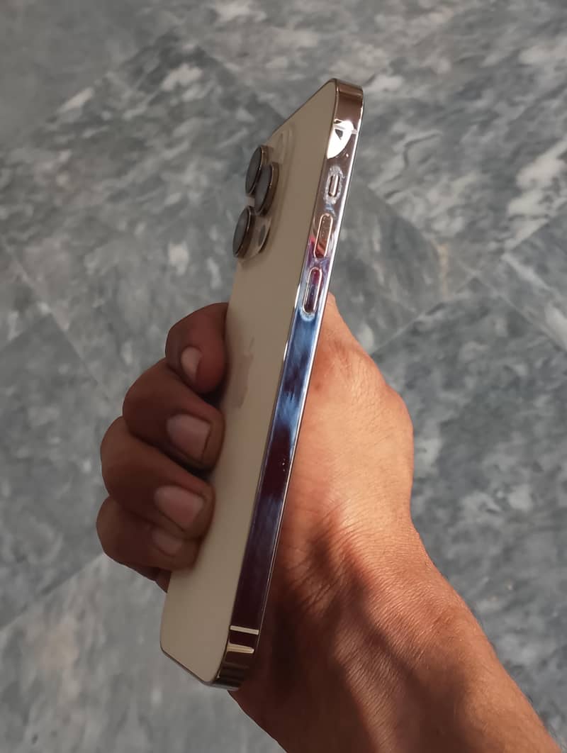 Apple iPhone 14 Pro Max 1