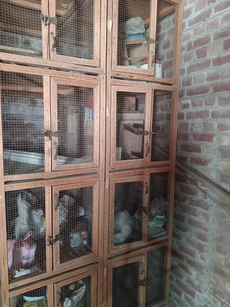 Wooden Parrot Cages — photo 2