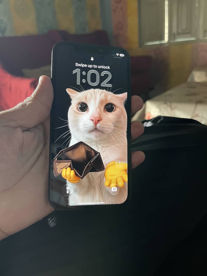 iPhone 12 0