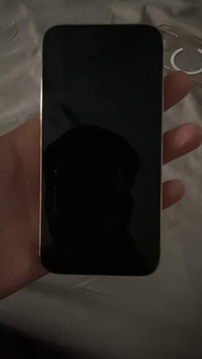 Apple iPhone 12 Pro