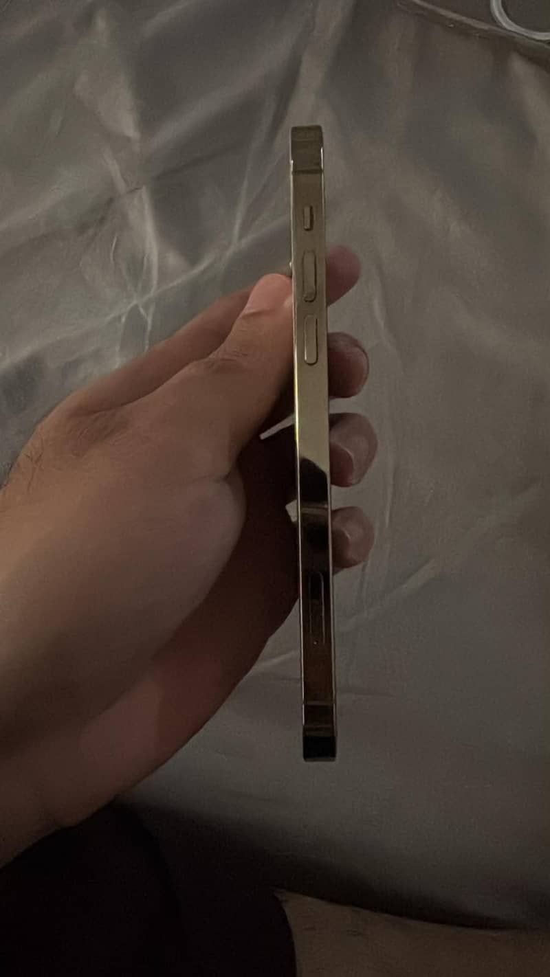 Apple iPhone 12 Pro 3