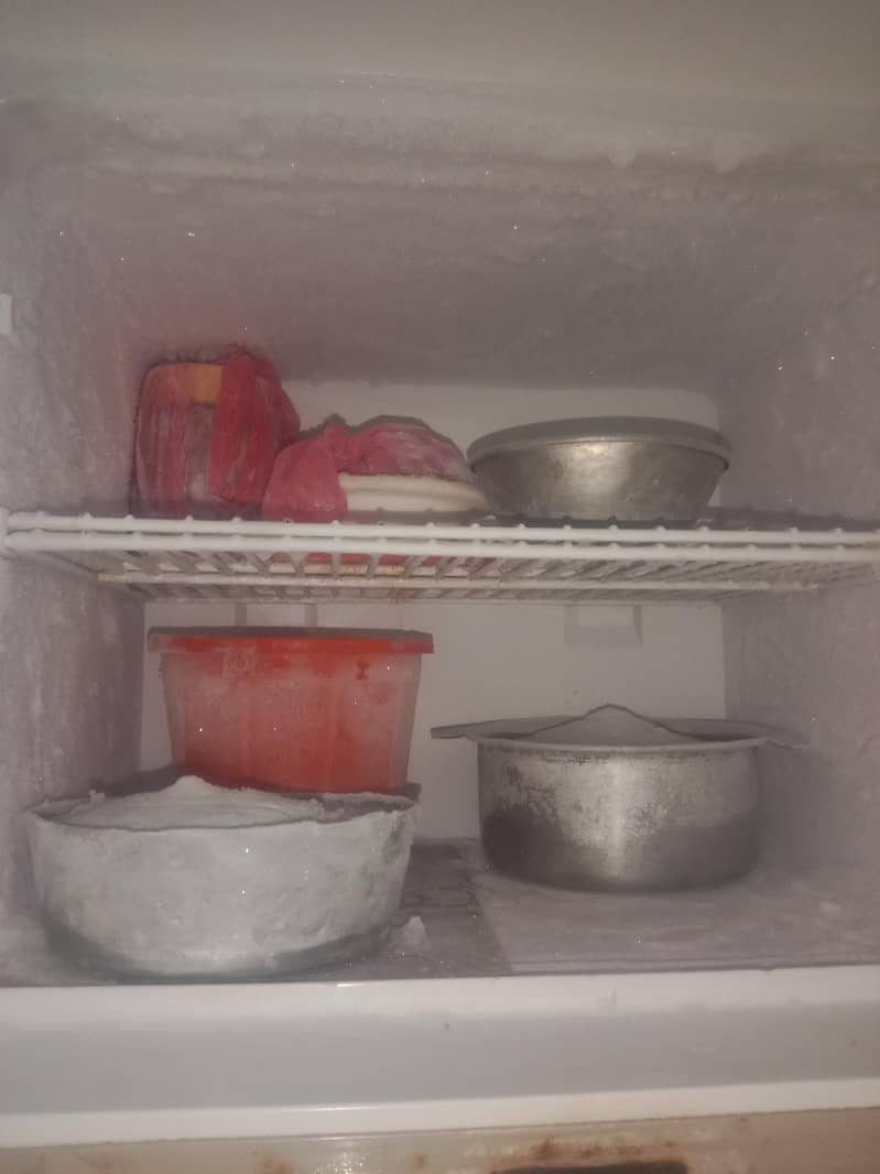 full size fridge 1