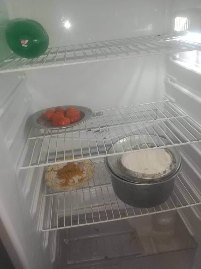 full size fridge 2