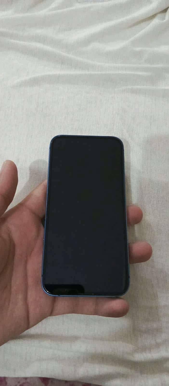 Apple iPhone 13 0