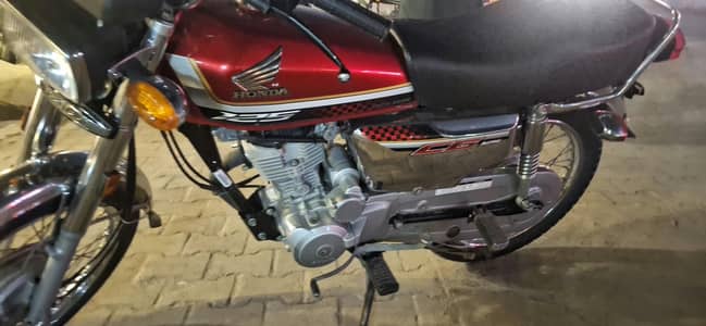 condition brand new all ok bike (03198016290)