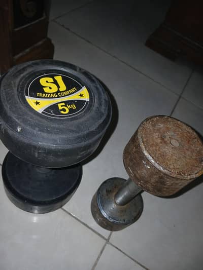 a pair of 5kg dumbbells