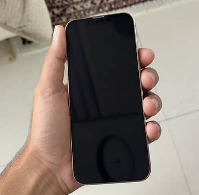 Apple iPhone 13 Pro