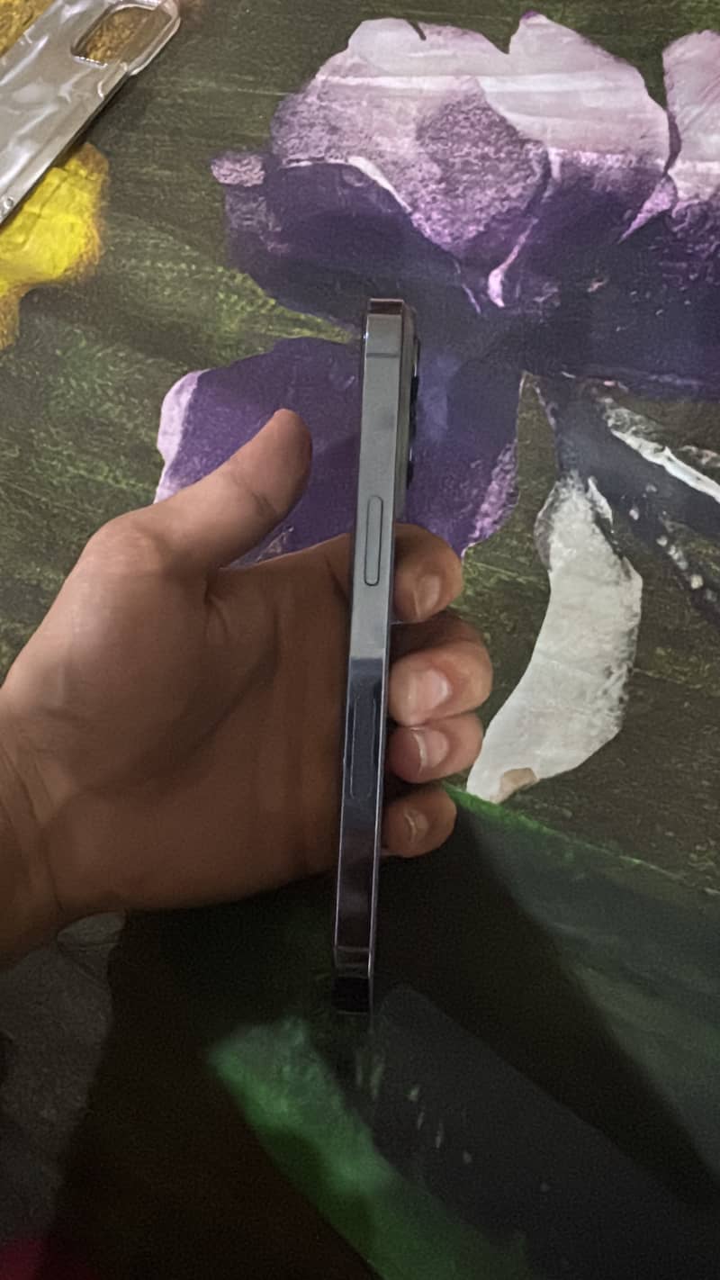 Apple iPhone 13 Pro jv 1