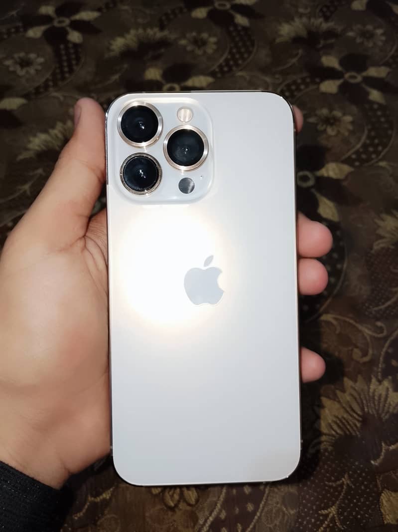 Apple iPhone 13 Pro 0