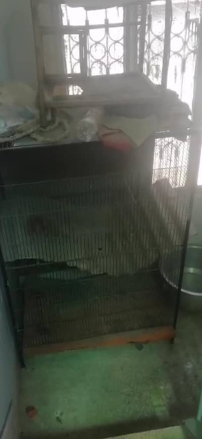 hens cage