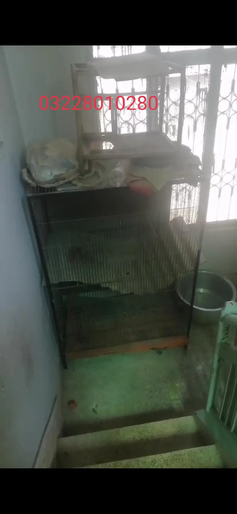 hens cage — photo 3