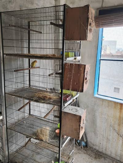 4 portion cage for sale