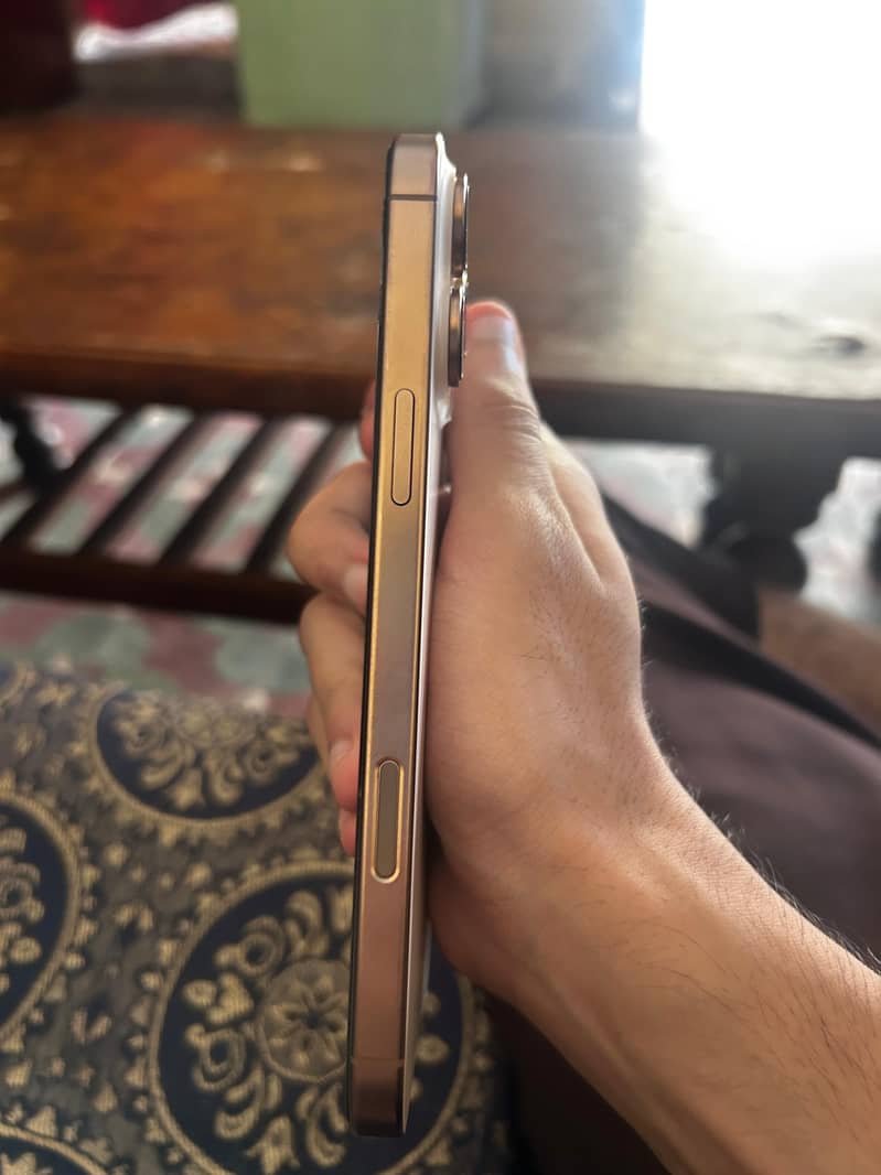 Apple iPhone 16 Pro Max 1