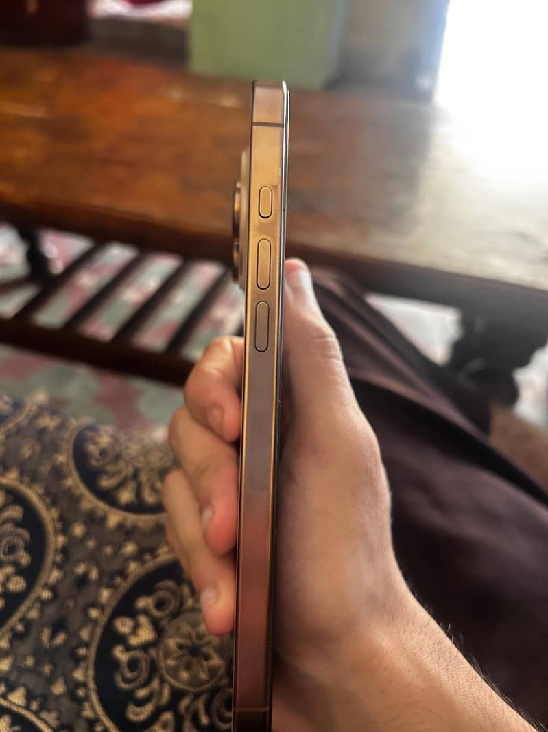 Apple iPhone 16 Pro Max 2