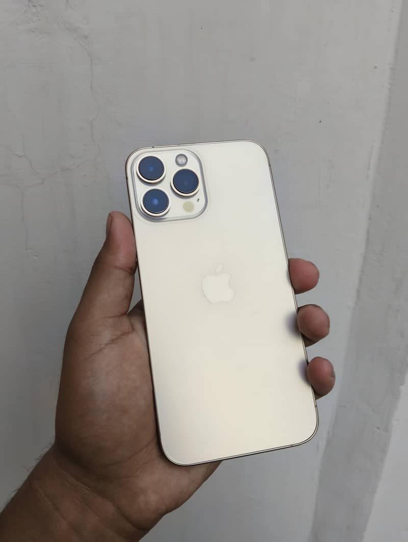 Apple iPhone 13 Pro Max 2