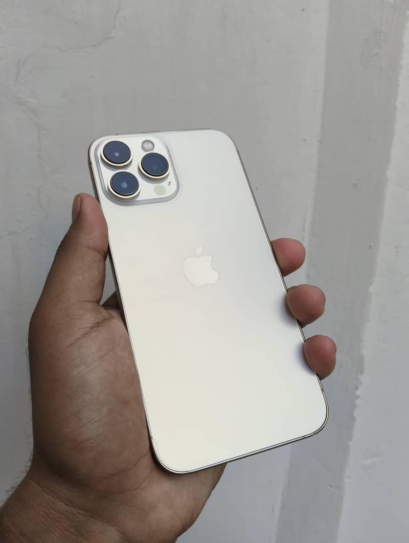 Apple iPhone 13 Pro Max 3